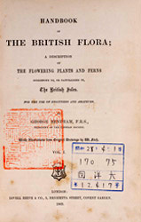 Handbook of the British flora