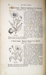 Handbook of the British flora