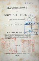 Illustrations of British fungi