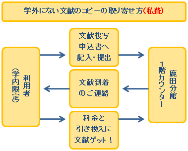 セクションのイメージ